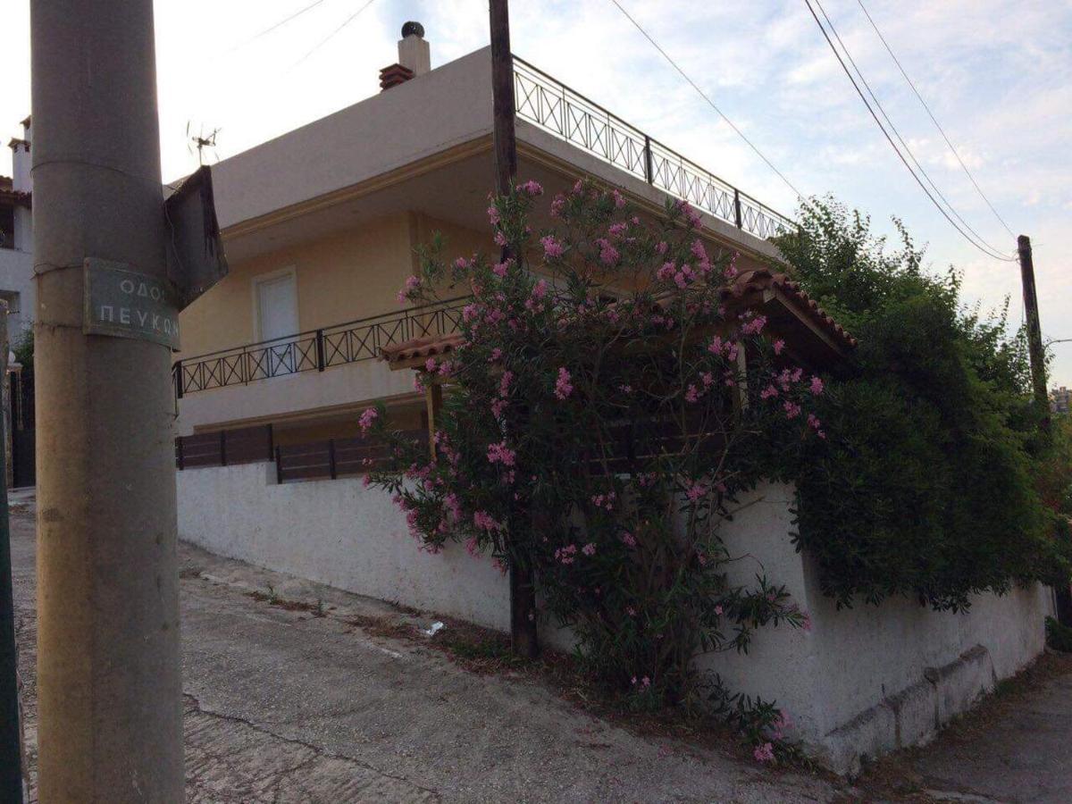 Relaxing Family House With Garden In Avra, Apartment